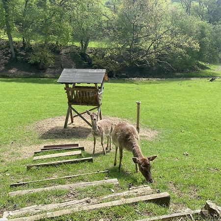 Ferienhaus Rehblick Rockeskyll Exteriér fotografie