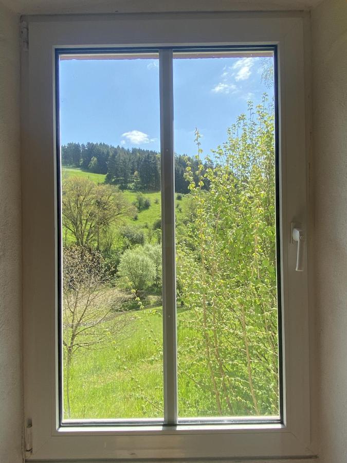 Ferienhaus Rehblick Rockeskyll Exteriér fotografie